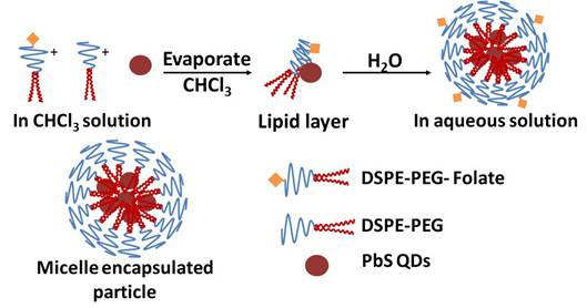 Theranostics Image