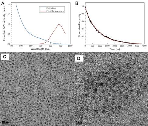 Theranostics Image