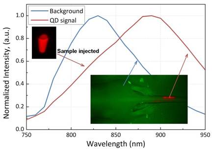 Theranostics Image