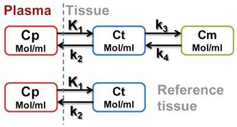 Theranostics Image