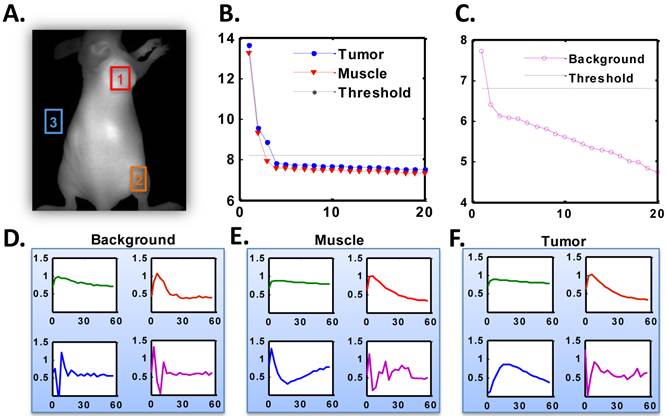 Theranostics Image