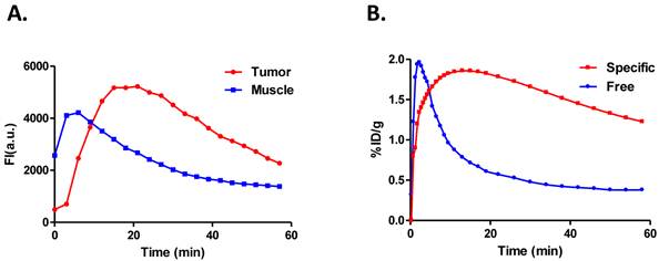 Theranostics Image