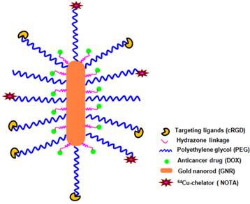 Theranostics Image