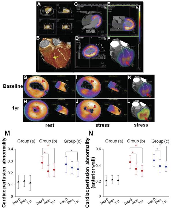 Theranostics Image