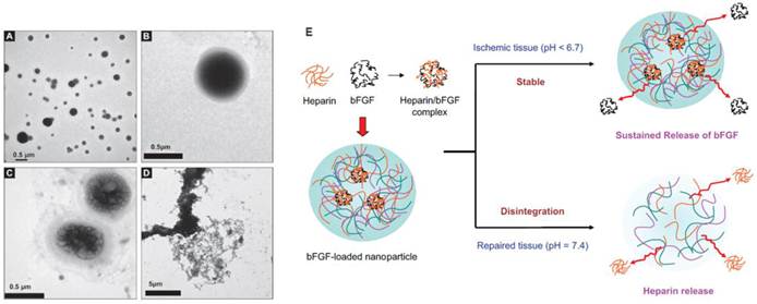 Theranostics Image