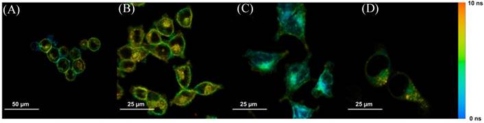 Theranostics Image