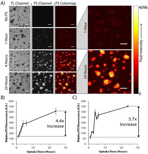 Theranostics Image