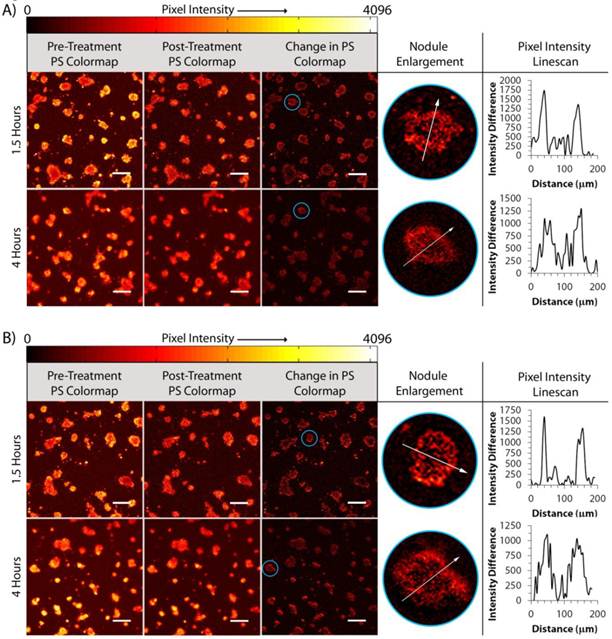 Theranostics Image