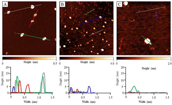 Theranostics Image