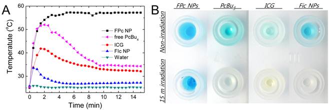 Theranostics Image