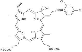 Theranostics Image