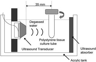 Theranostics Image