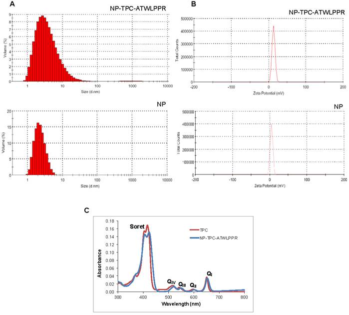 Theranostics Image