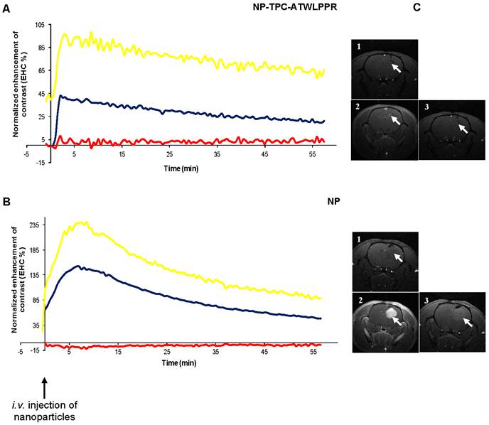 Theranostics Image