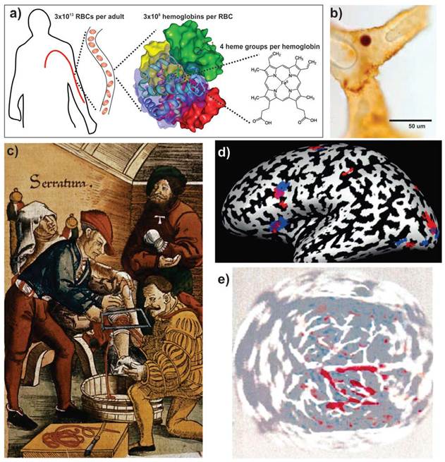 Theranostics Image