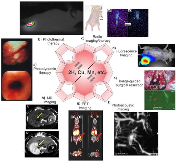 Theranostics Image