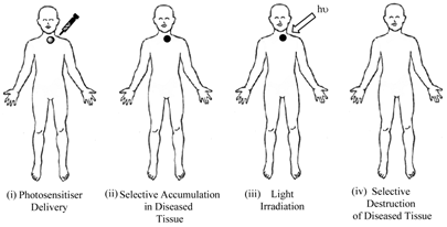 Theranostics Image