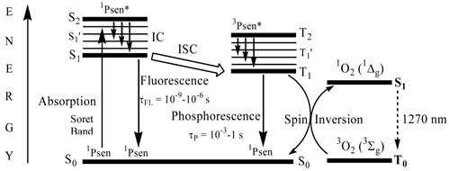 Theranostics Image