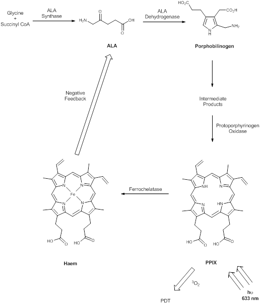 Theranostics Image