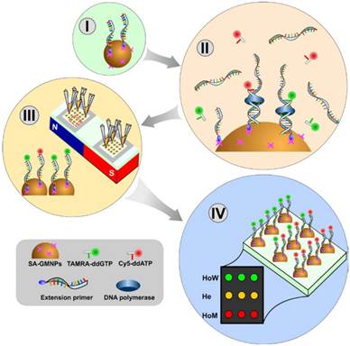 Theranostics Image