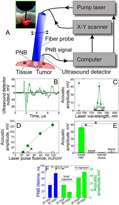 Theranostics Image