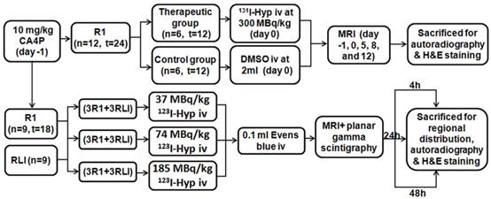 Theranostics Image