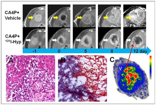 Theranostics Image