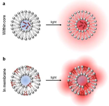 Theranostics Image