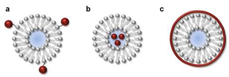 Theranostics Image