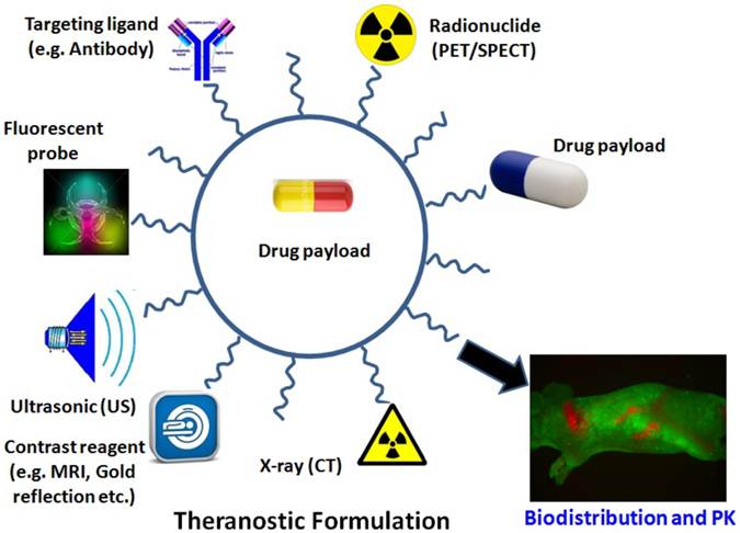 Theranostics Image