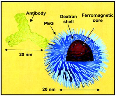 Theranostics Image