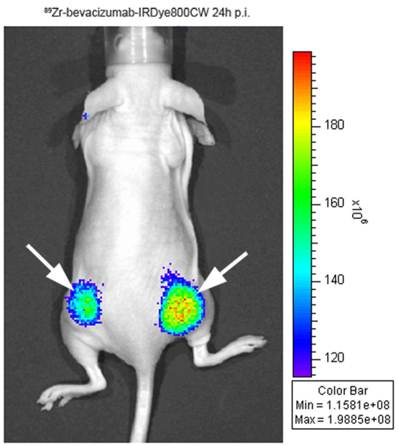 Theranostics Image