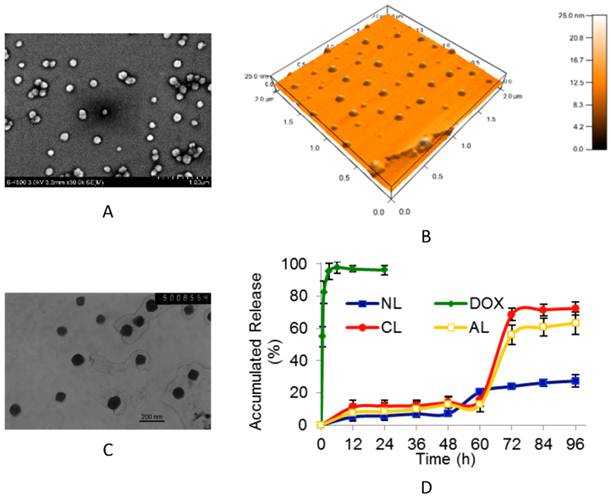 Theranostics Image