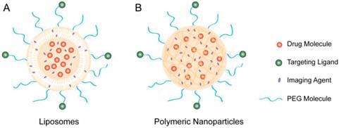 Theranostics Image