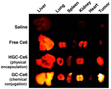 Theranostics Image