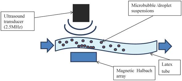 Theranostics Image