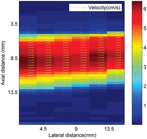 Theranostics Image