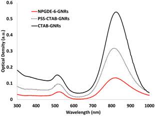 Theranostics Image