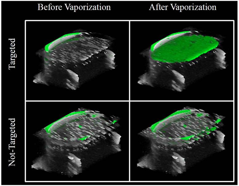 Theranostics Image