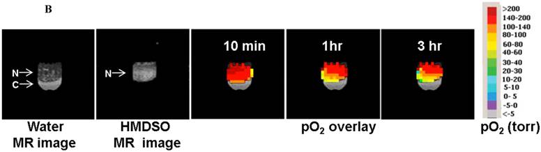 Theranostics Image