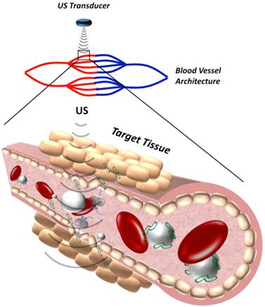 Theranostics Image