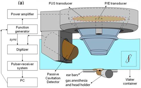 Theranostics Image