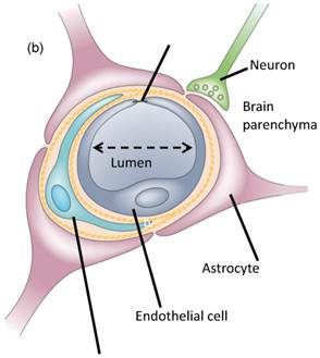 Theranostics Image