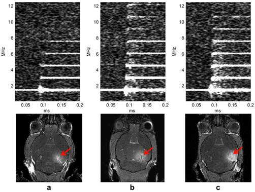 Theranostics Image