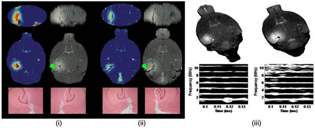 Theranostics Image