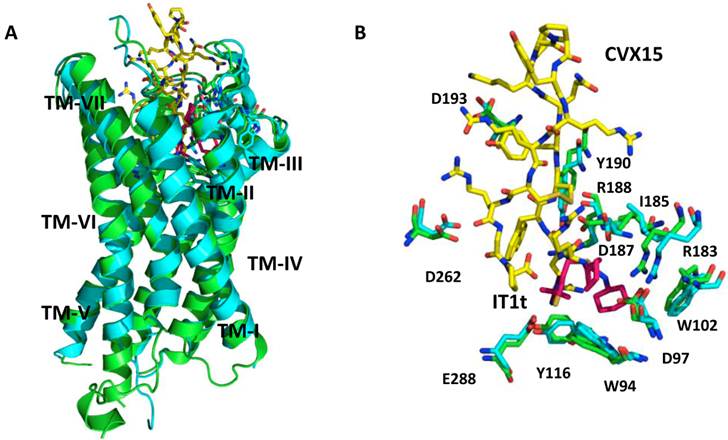 Theranostics Image