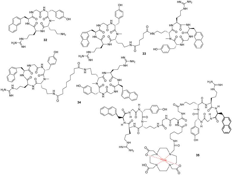 Theranostics Image