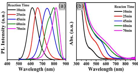 Theranostics Image