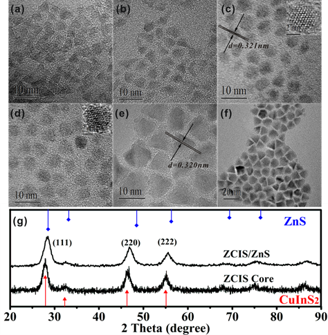 Theranostics Image