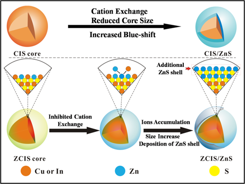 Theranostics Image